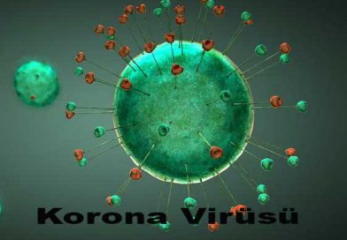Korona Virüse Karşı Halı