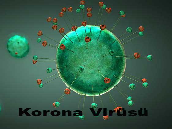Korona Virüse Karşı Halı